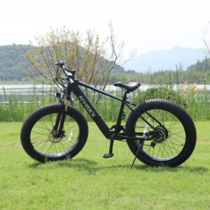 Outdoor Activities