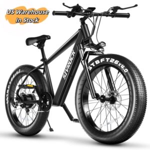 Professional 1000W Fat Tire Electric Mountain Bike